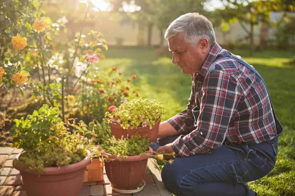 Golden Age Gardeners