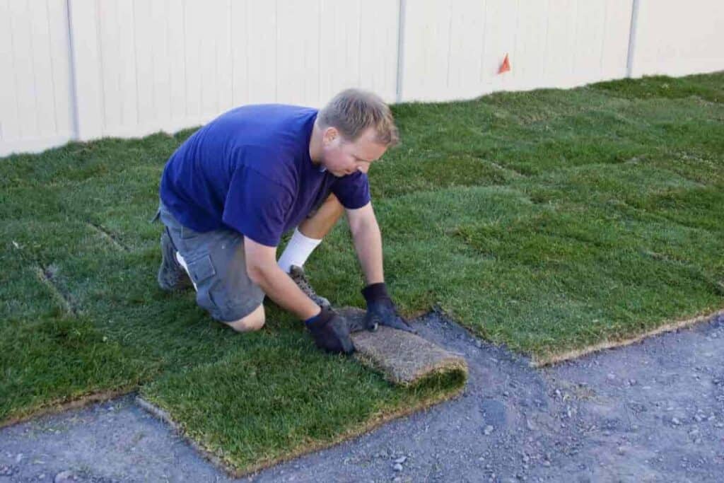 Build a New Lawn