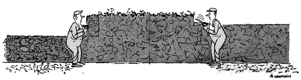Prune Yews