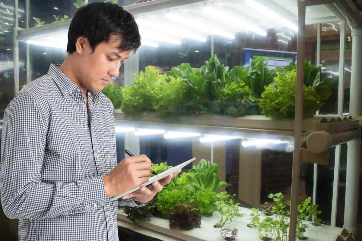 Fluorescent Lights for Planting