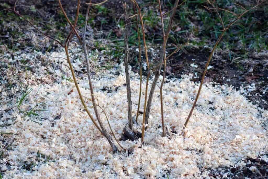 Garden Sawdust