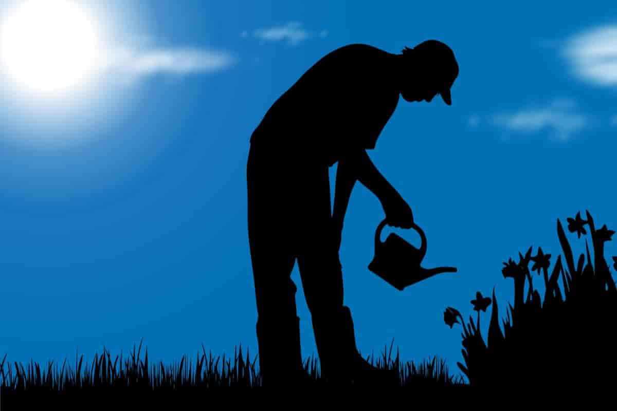 Garden Fitness Program