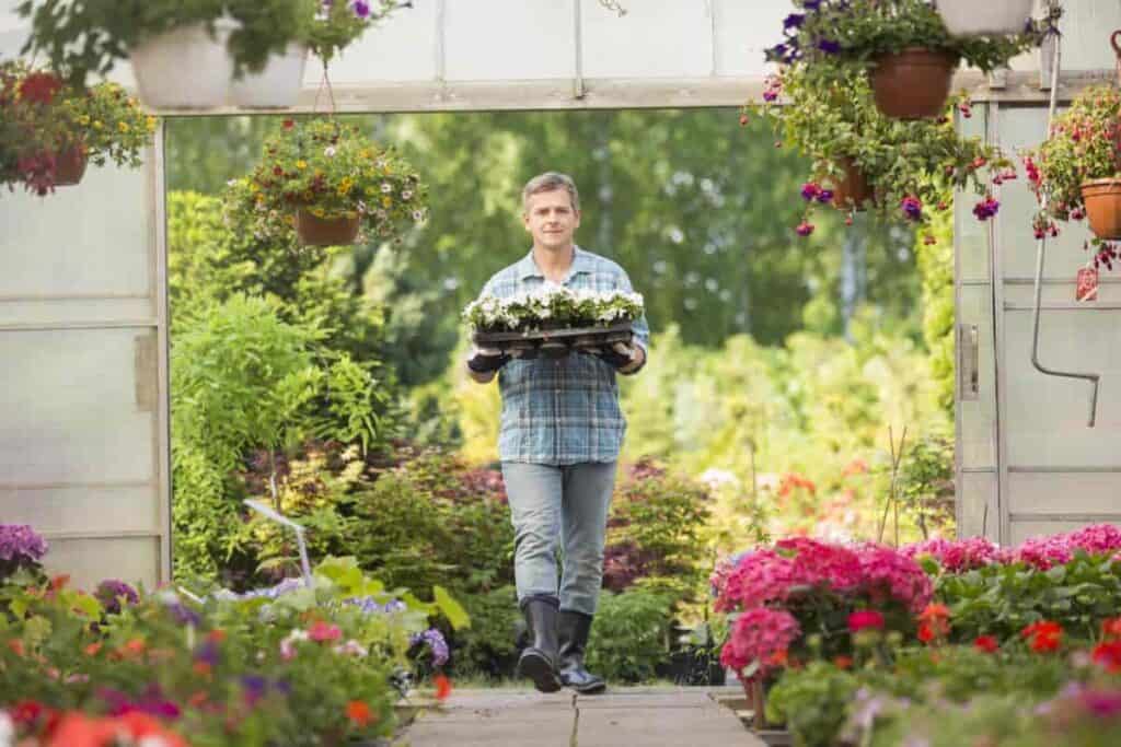 Home Greenhouse