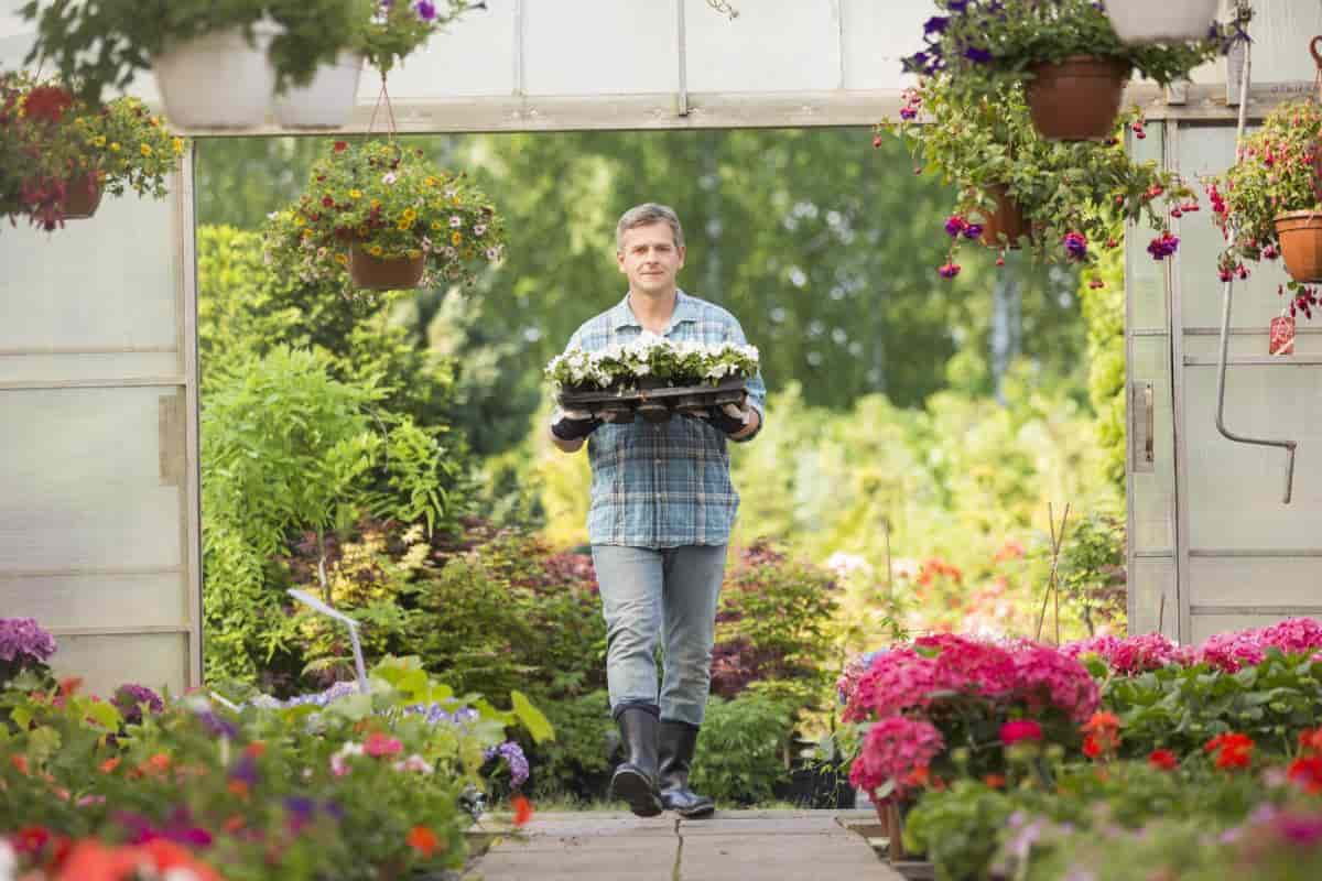 Home Greenhouse