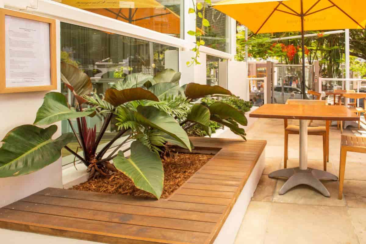 Terrace and Patio Living