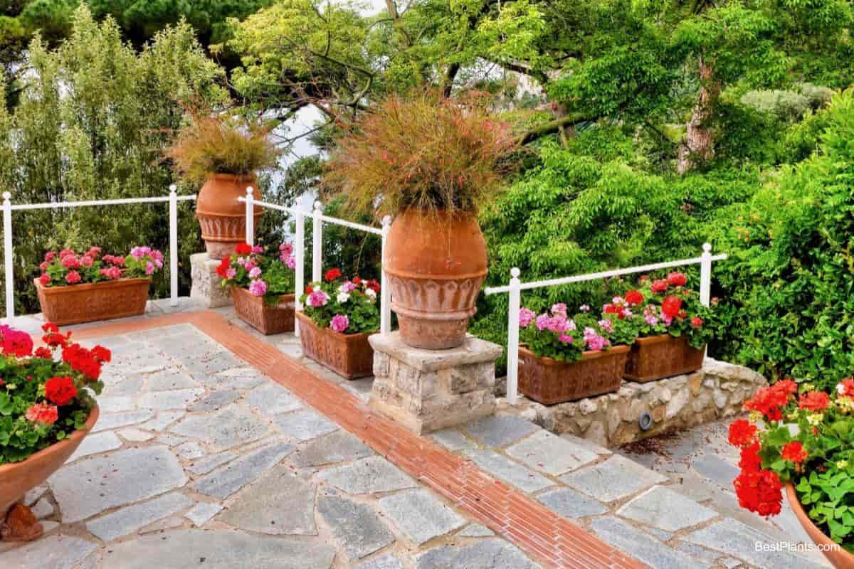 terrace patio living