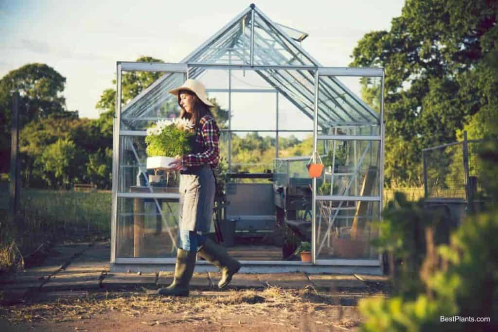 greenhouse check list