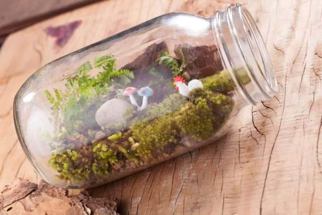 bottle gardens