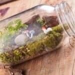 Pinterest Hidden Image