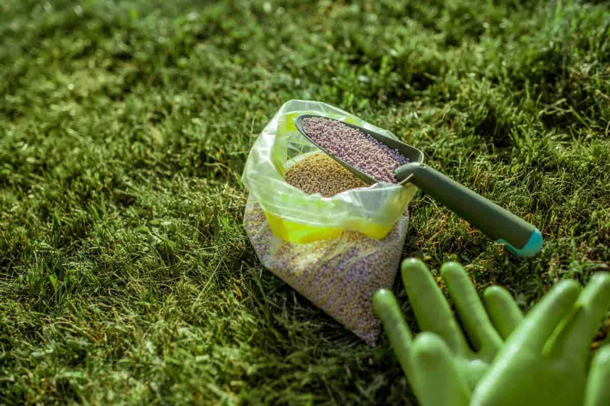 east central gardening october