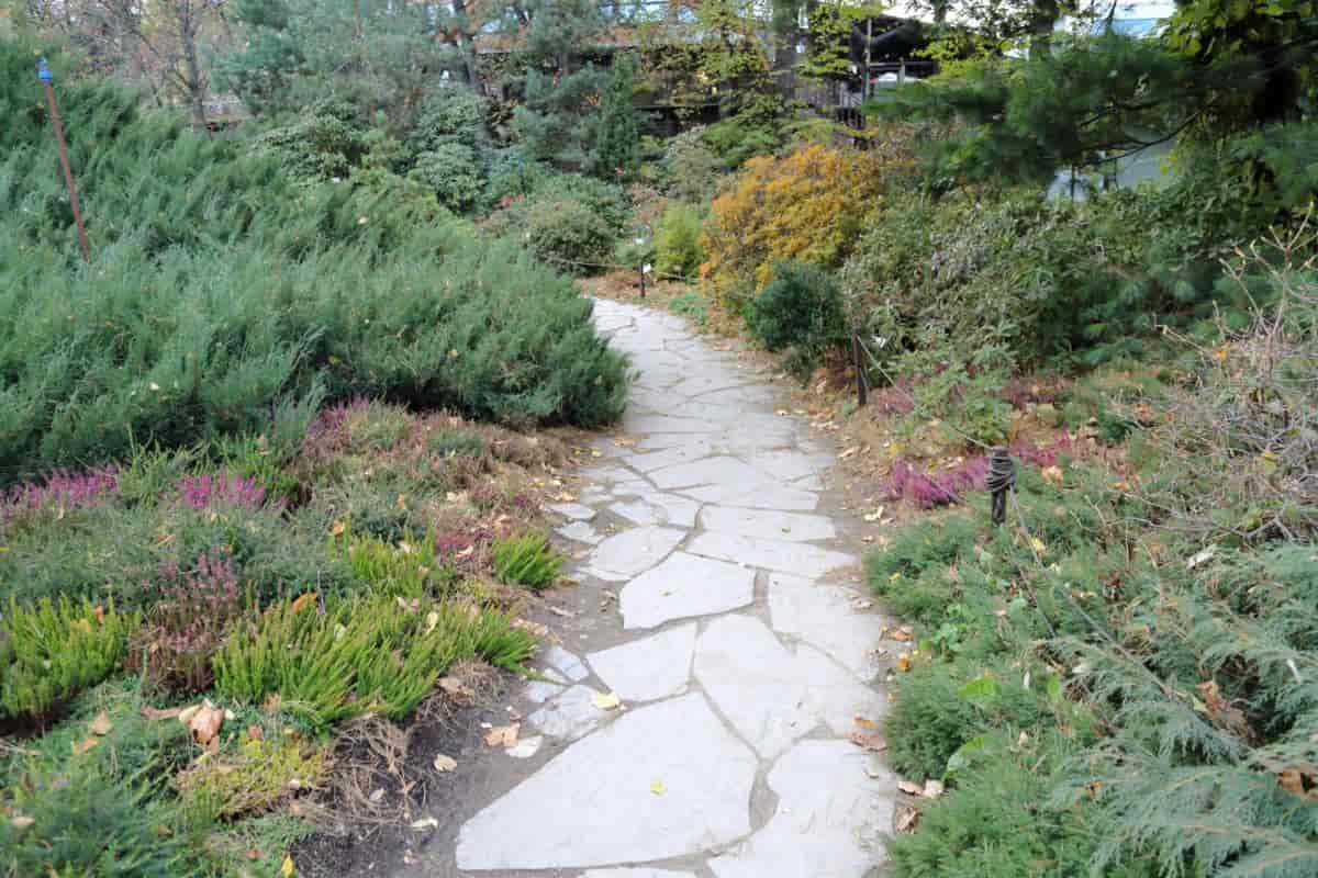 Path Walks
