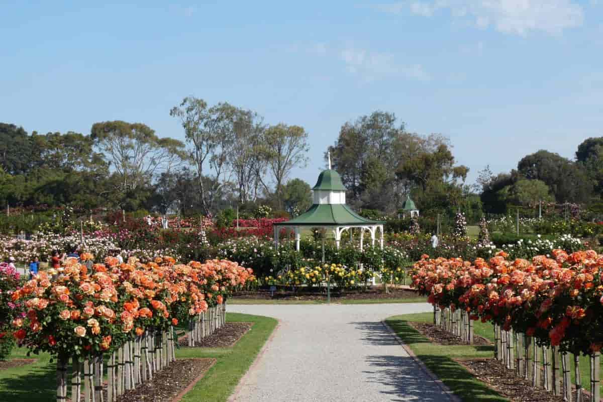 Garden Design