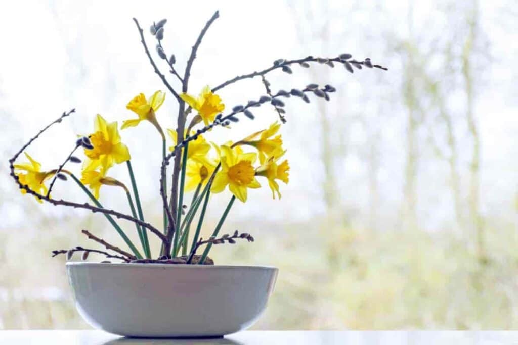 exploring ikebana