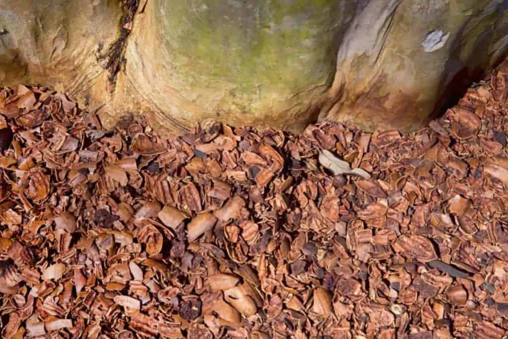 Grow Your own Mulch