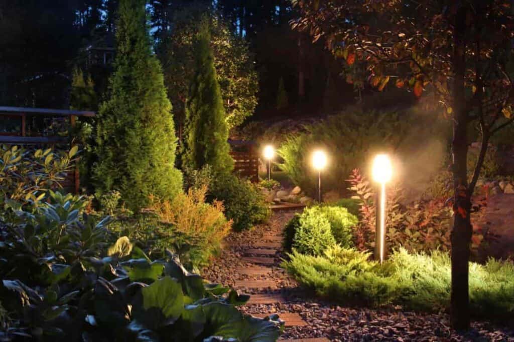 light widens your view