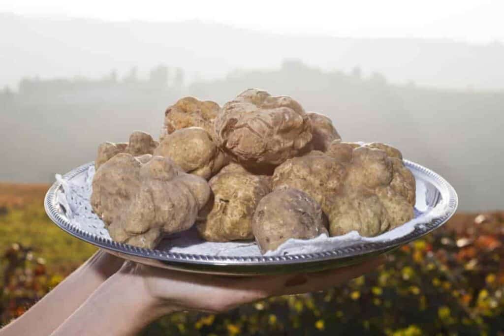 Truffles