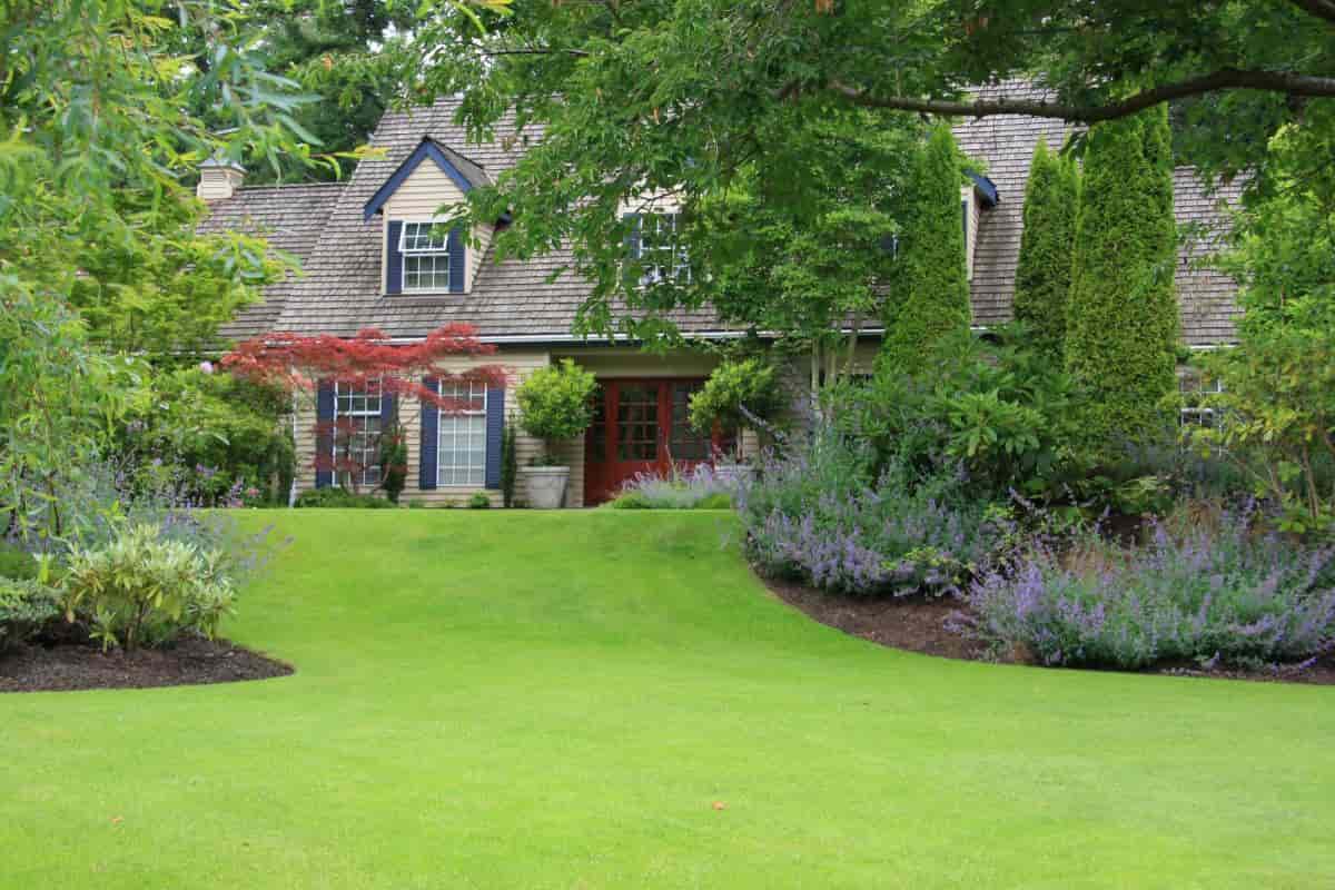 Green Turf