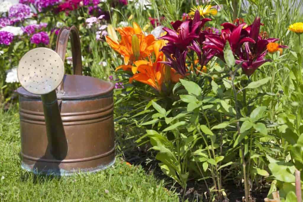 northern october garden tips
