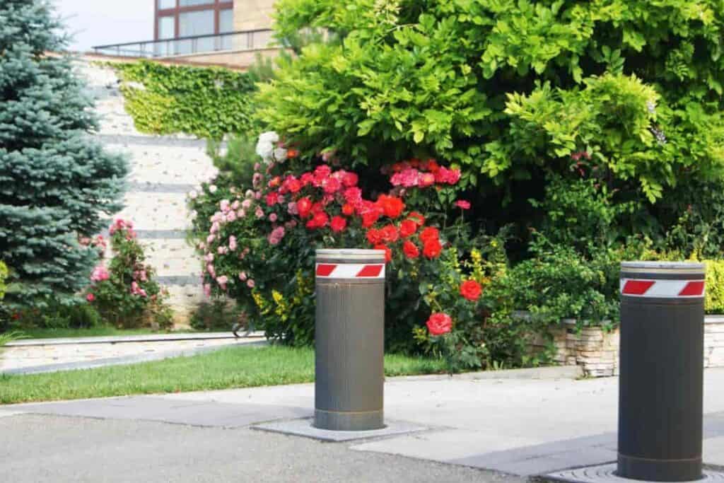 beautiful planting parking areas
