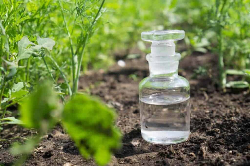 Liquid Plant Foods