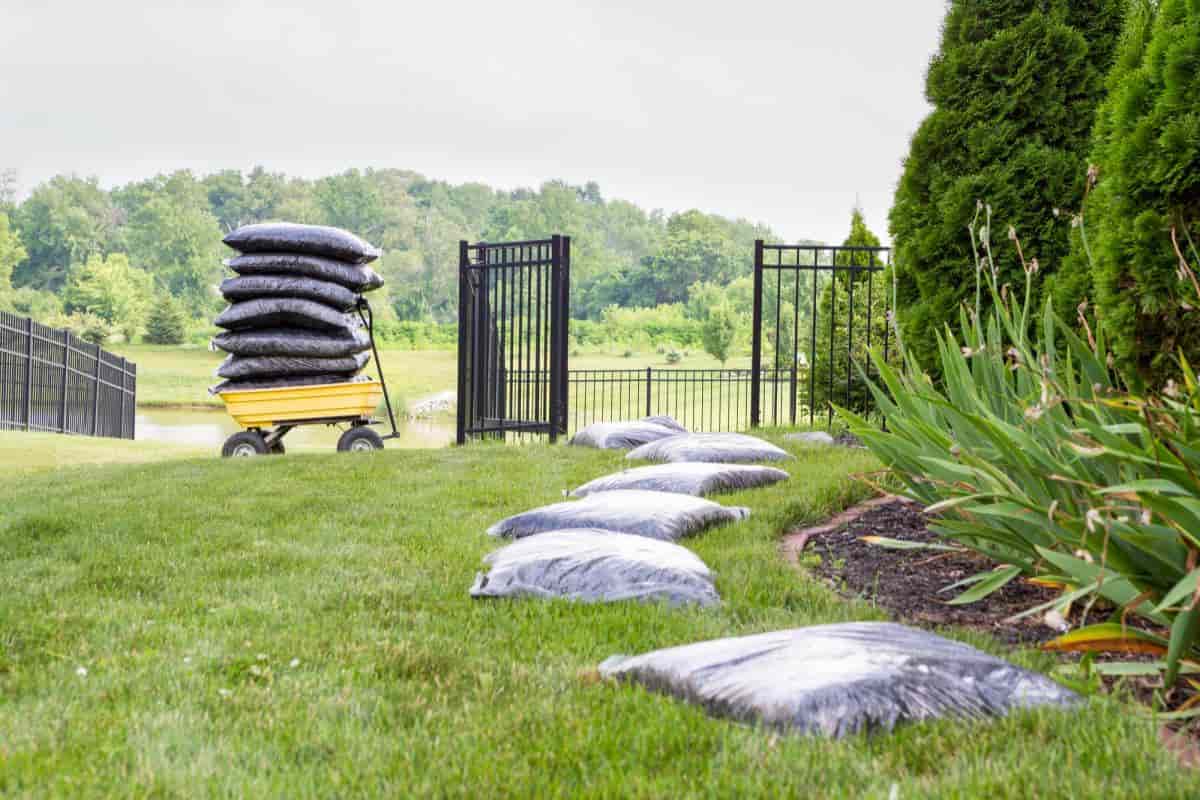 Summer Garden Secrets