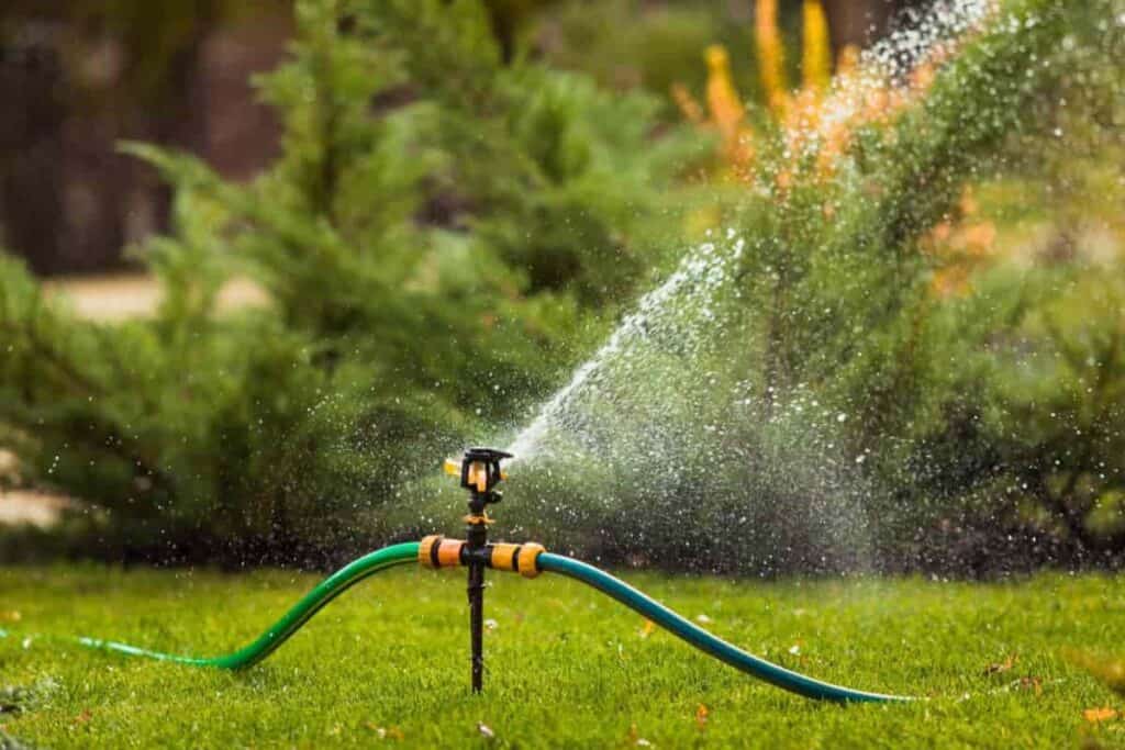 Watering Mowers Crabgrasa