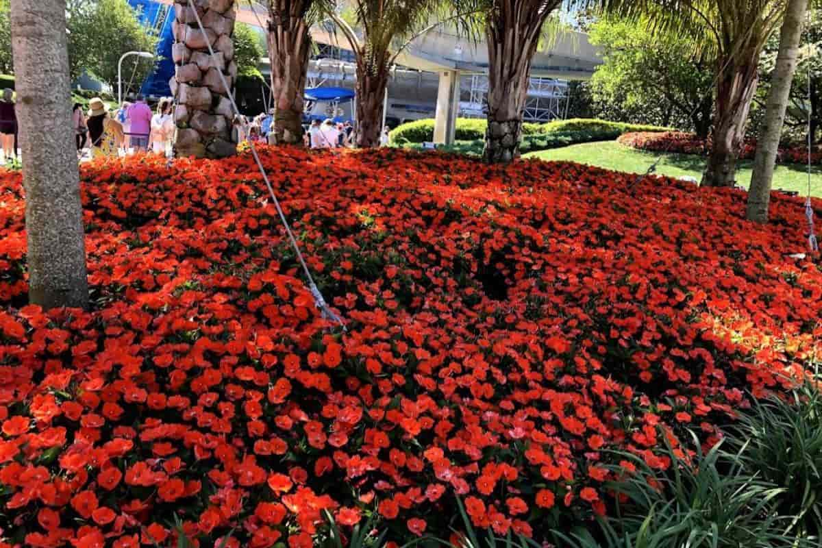 Coastal Garden