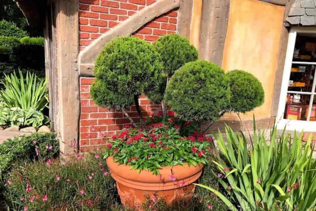 Topiary