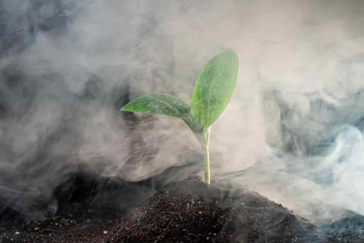 Fog Mist Method