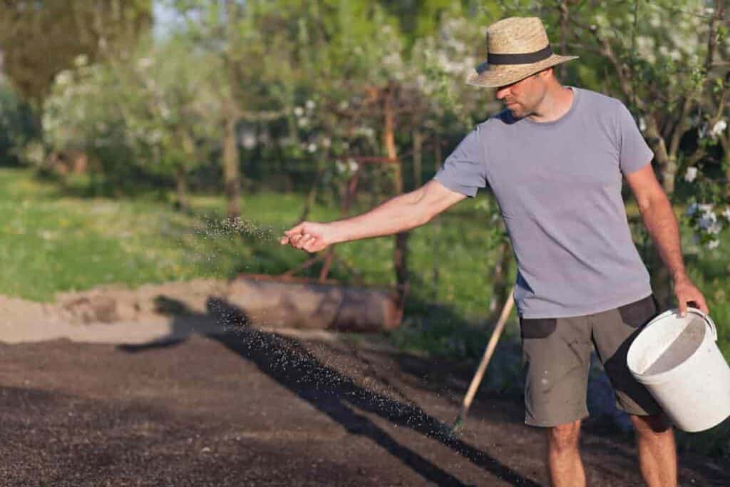 man spreading lawn grass seed
