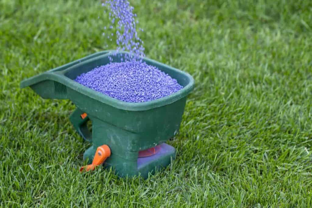 Lawn Feeding
