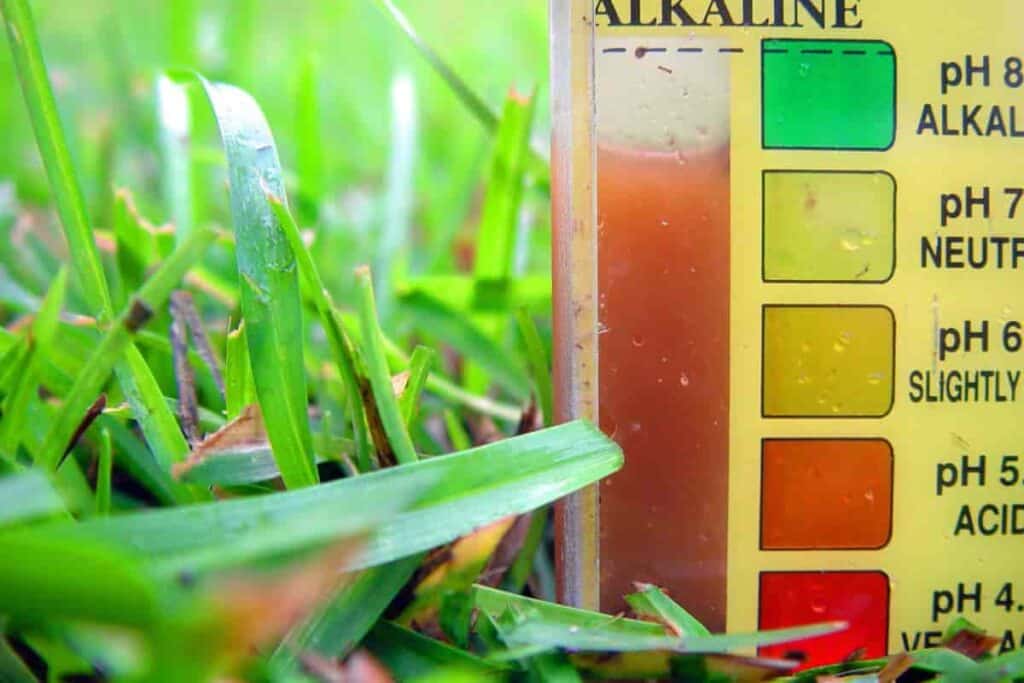 Lowering Soil pH