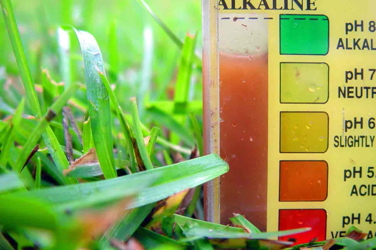 Lowering Soil pH