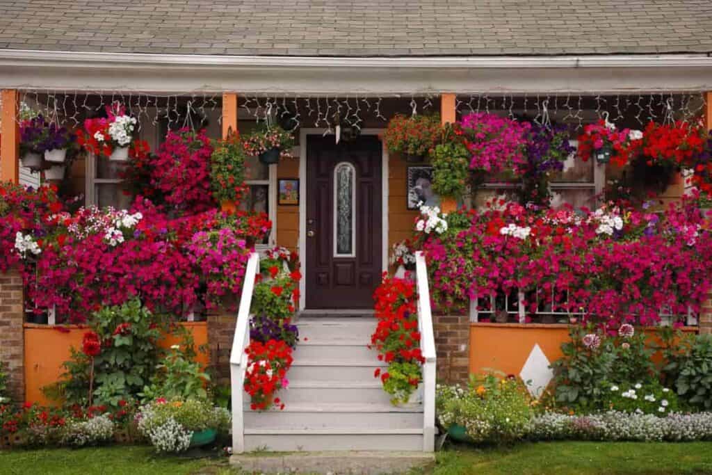 porch becomes greenhouse