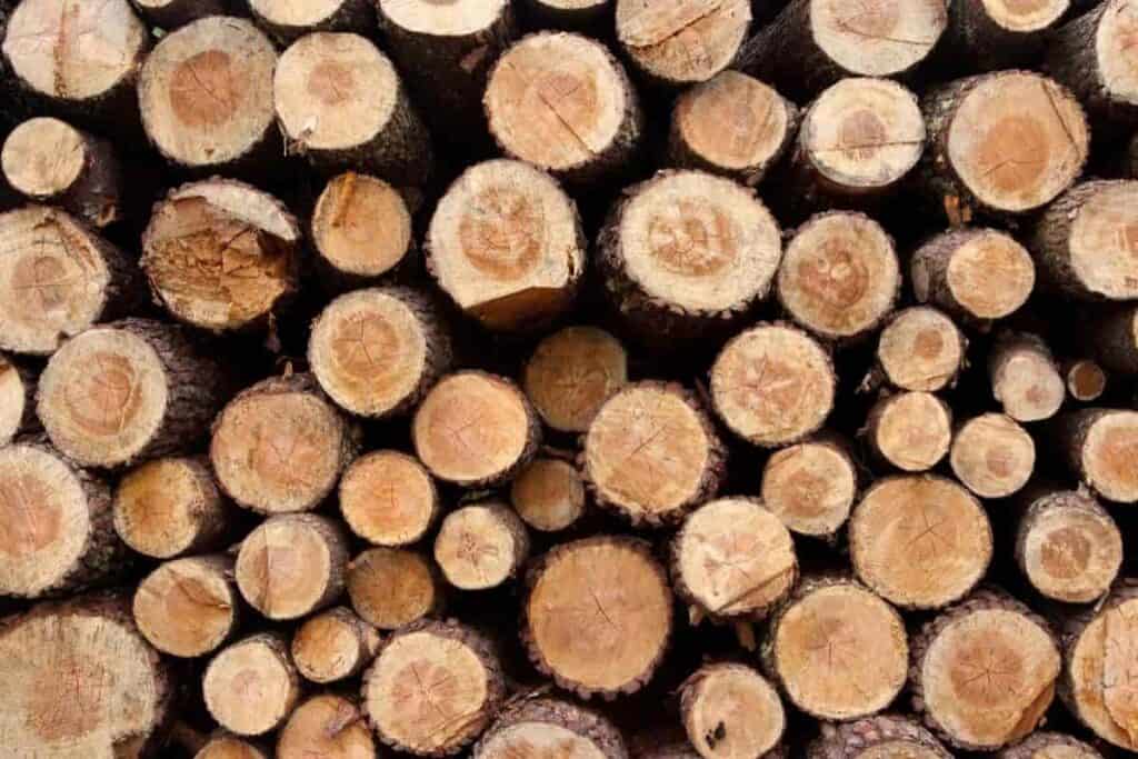 Log Stories