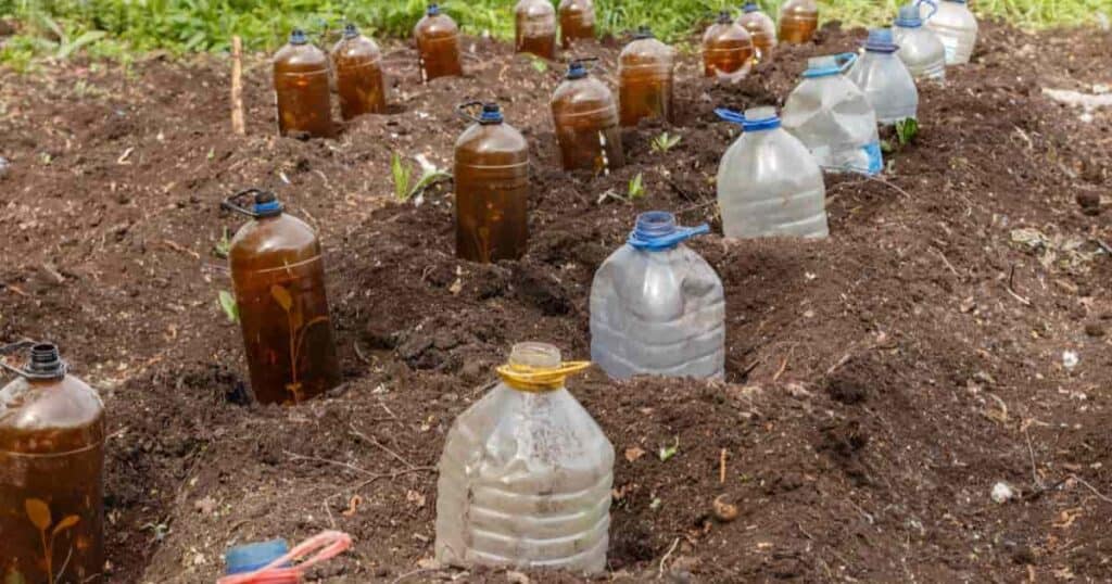 Hotcaps Gardening