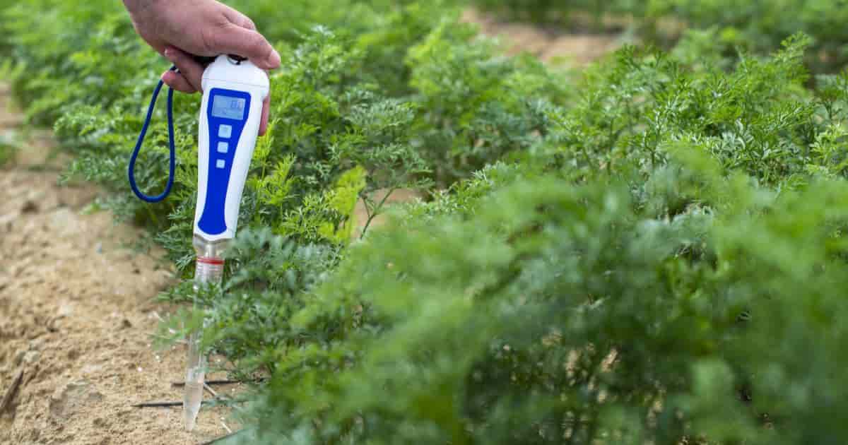 Soil PH