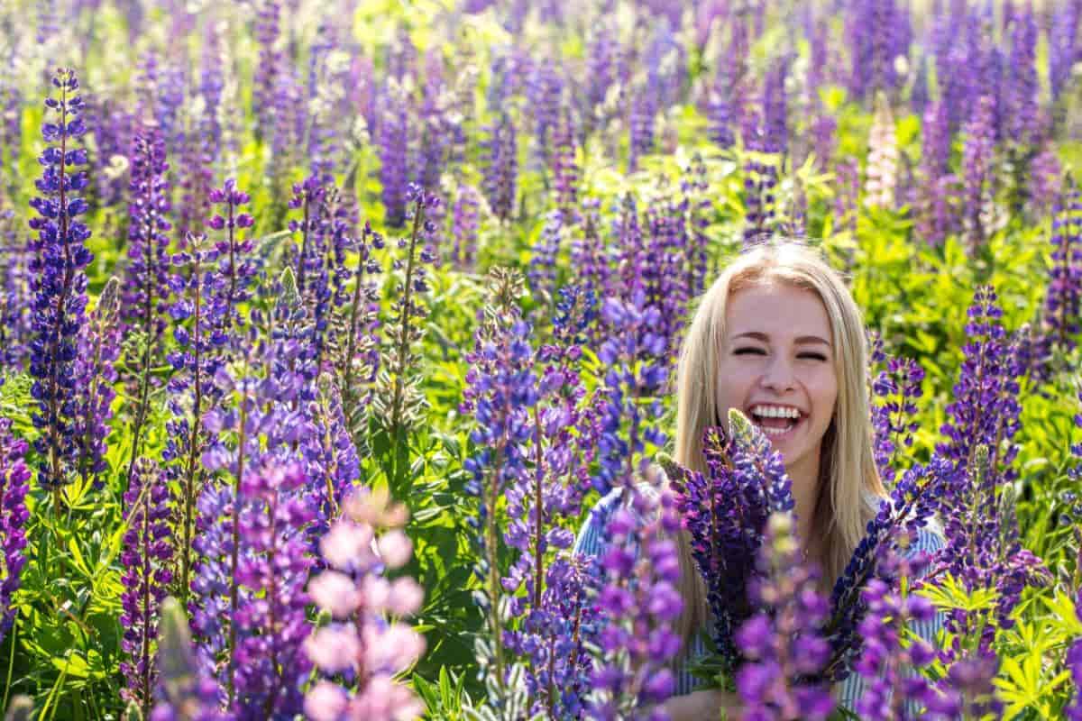 Basic Botany