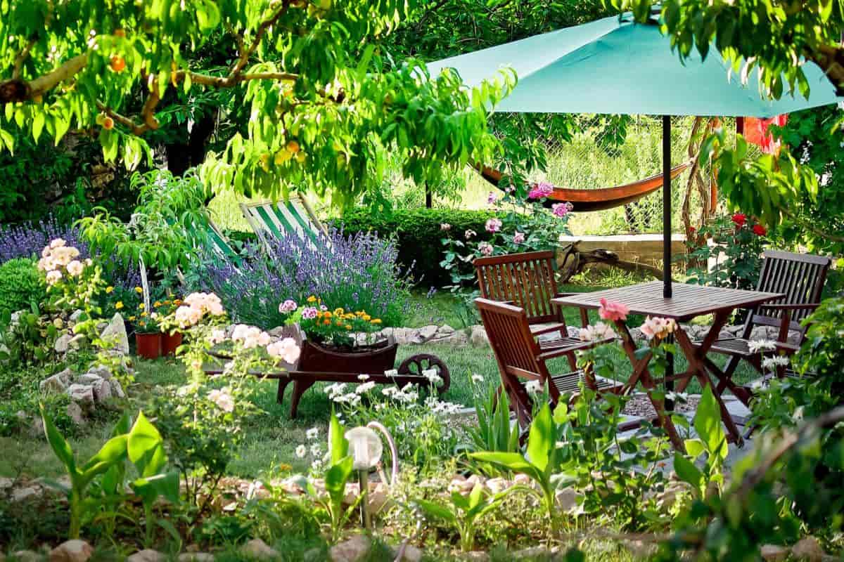 Livable Garden