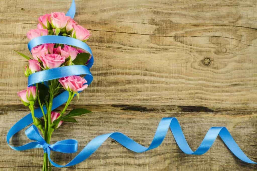 Ribbon Roses