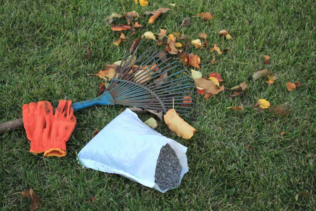 Autumn Lawns