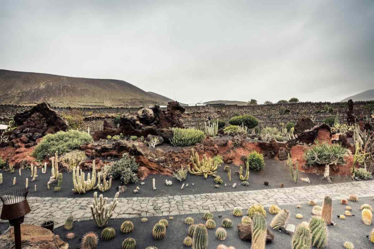 Making a Rock Garden