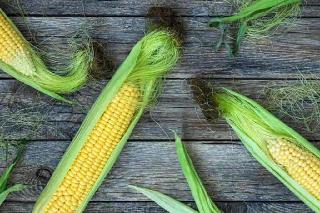 Freezing Corn