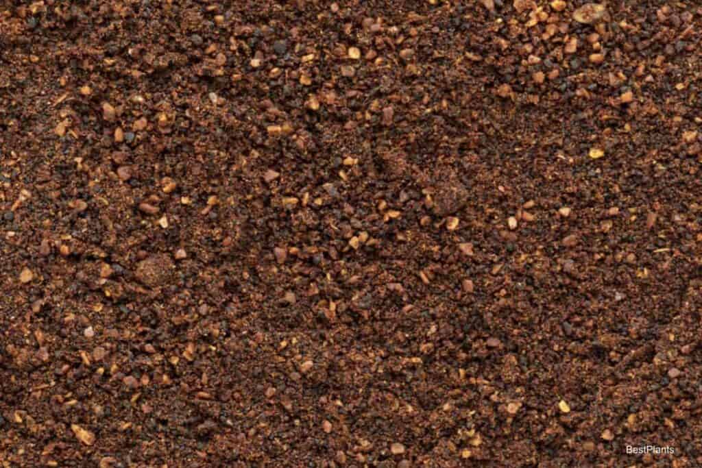 Dried Neem Cake residue