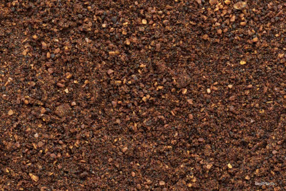 Dried Neem Cake residue
