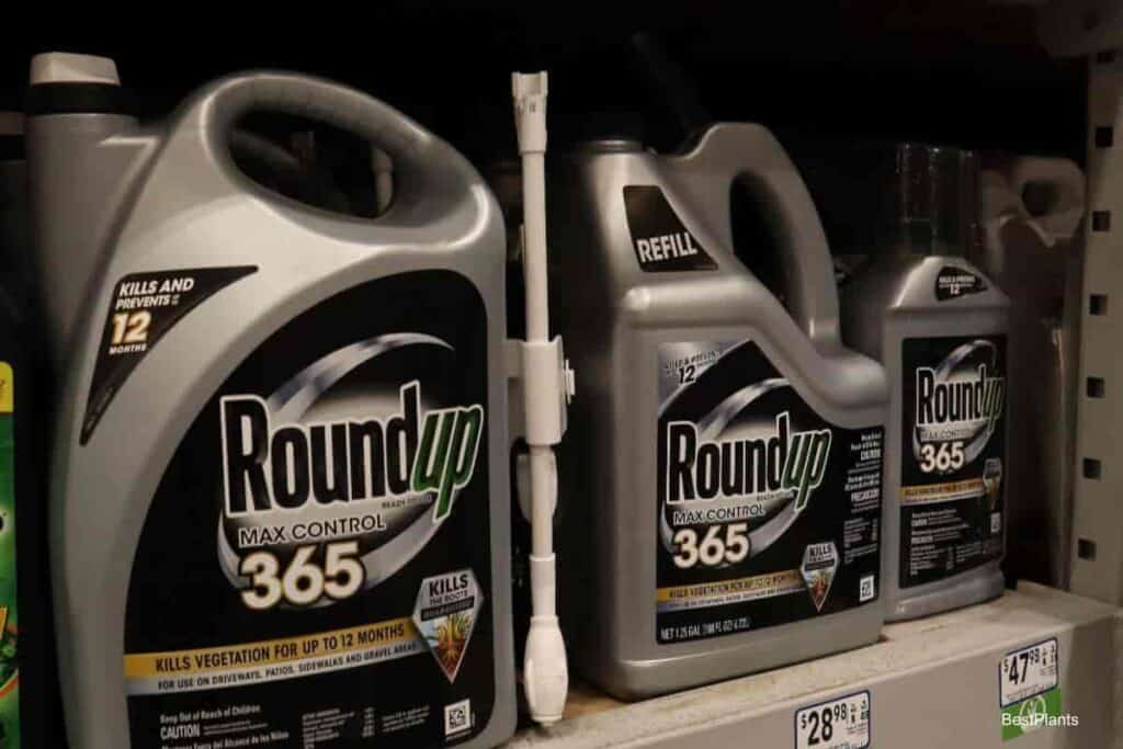 roundup