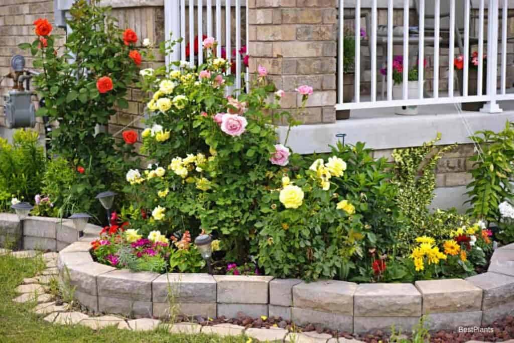 Flower Garden