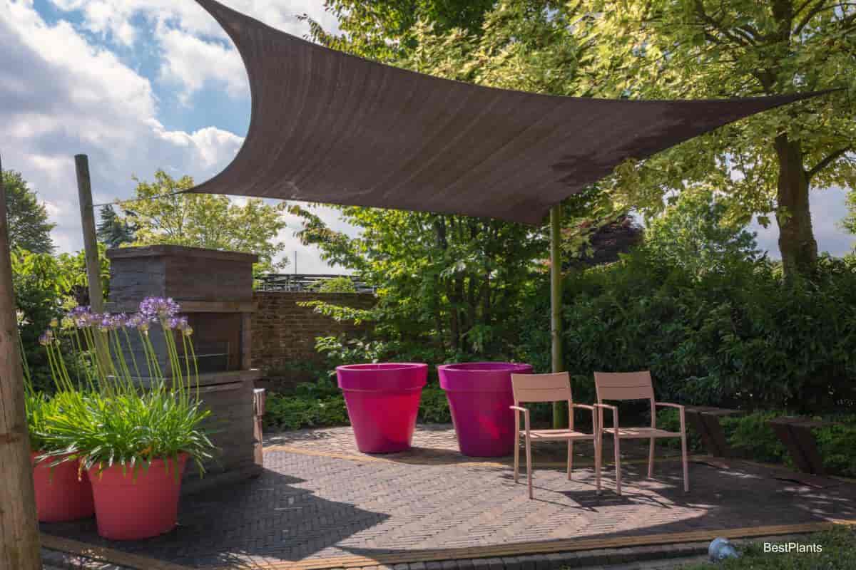 Inspired shady garden