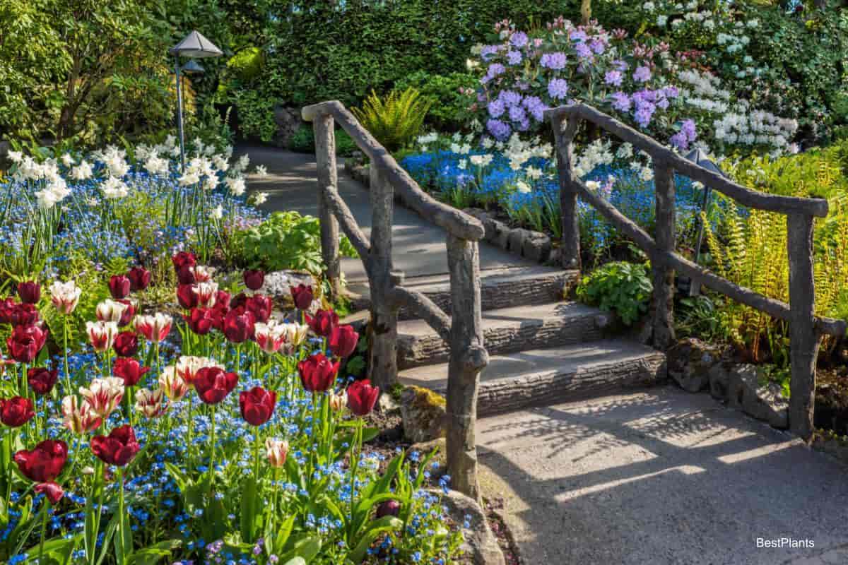 better garden