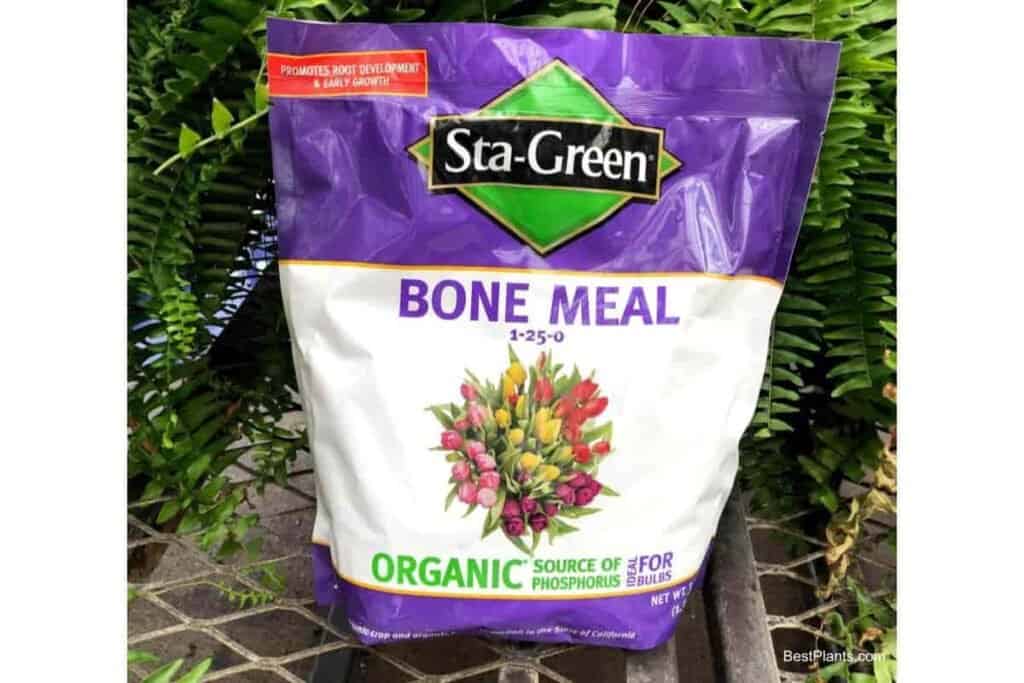 Bone meal Fertilizer